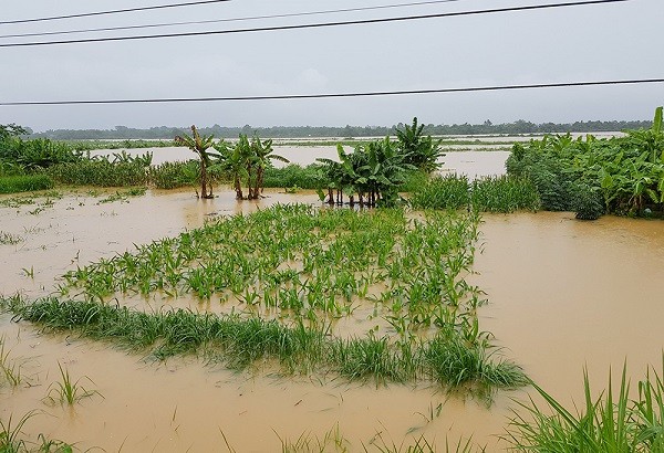Áp thấp nhiệt đới di chuyển kỳ lạ, gây 'mưa chồng mưa' ở miền Bắc - ảnh 1