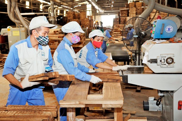 Việt Nam kỳ vọng xuất khẩu gỗ và lâm sản đạt 15 tỷ USD - ảnh 2