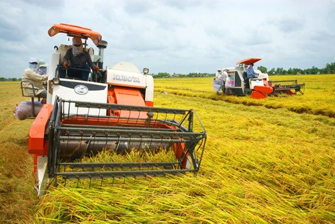 Xuất khẩu nông lâm thủy sản năm 2018 sẽ đạt 40 tỷ USD - ảnh 2
