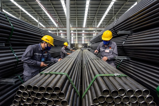 Điều gì giúp Hoa Sen vượt “sóng dữ”, tăng trưởng không ngừng? - ảnh 3