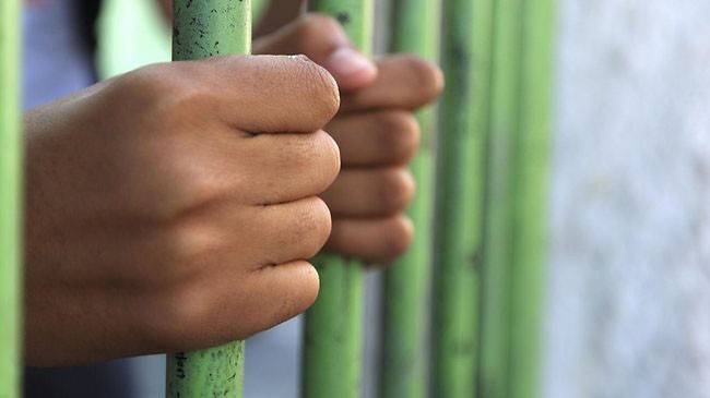 Trùm mafia dạy luật nhà tù cho... luật sư - ảnh 1