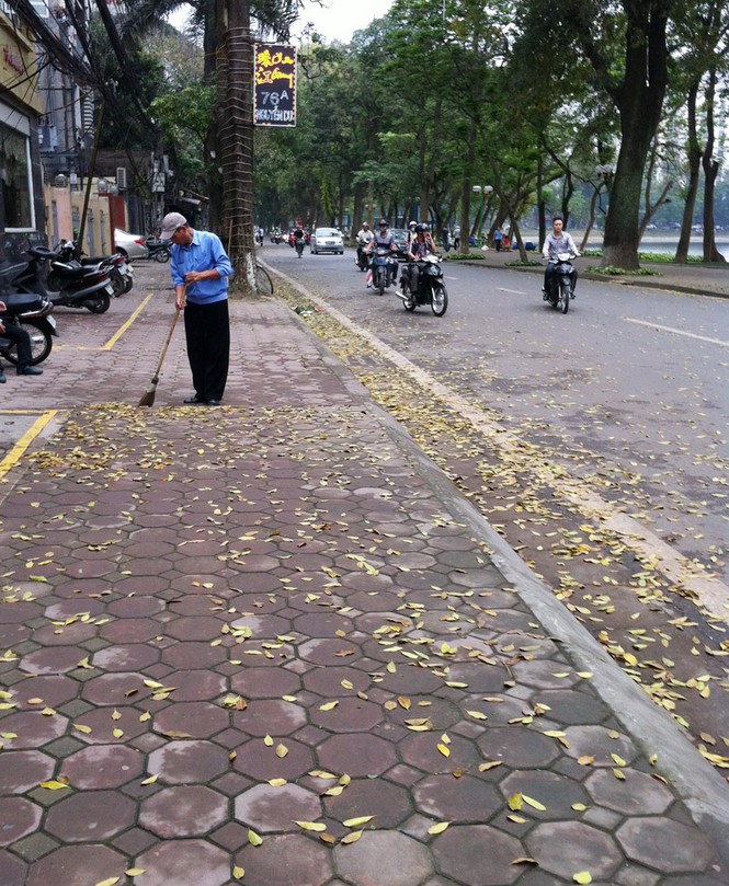Hà Nội mùa... rụng lá - ảnh 10