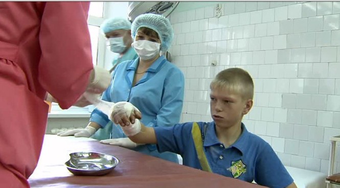 Chó nhỏ liều mình đuổi gấu dữ cứu sống 2 em bé - ảnh 1