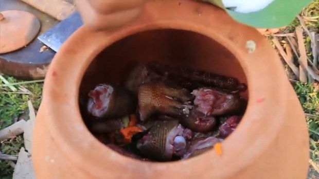 Ah Lin Tuch cùng chồng quay lại video giết thịt các động vật hoang dã.