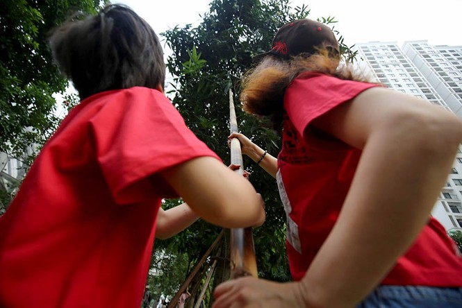 {title} hoa quả Việt,đặc sản Việt,xoài,Hà Nội