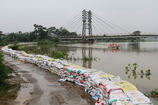 Ông Nguyễn Đức Chung: Thành phố không thờ ơ với dân vùng ngập lụt - ảnh 1