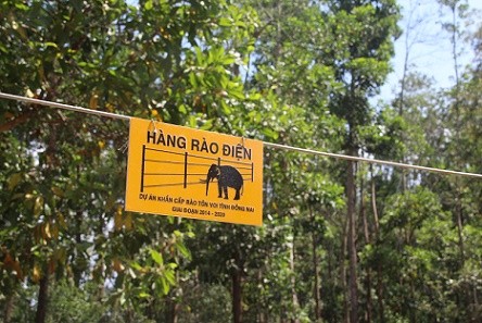 Cận cảnh hàng rào điện ngăn voi quậy phá ở Đồng Nai - ảnh 1