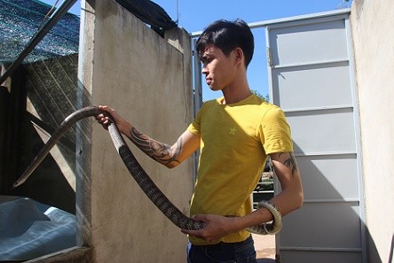 Vào lãnh địa của hàng ngàn con rắn - ảnh 1