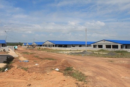 Buộc tháo dỡ trại chăn nuôi heo xây dựng trái phép trong rừng cao su - ảnh 2