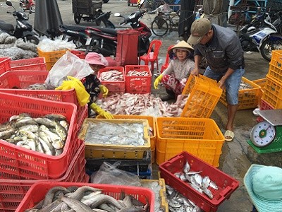 Phiên chợ cá Bình Thuận trước giờ tránh bão - ảnh 6