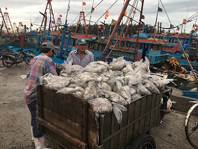 Phiên chợ cá Bình Thuận trước giờ tránh bão - ảnh 5