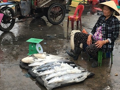 Phiên chợ cá Bình Thuận trước giờ tránh bão - ảnh 7
