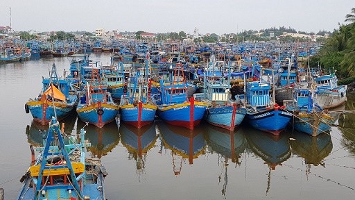 Phiên chợ cá Bình Thuận trước giờ tránh bão - ảnh 1