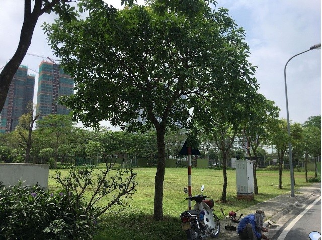 Cận cảnh khu đô thị 'đáng sống' nhất Hà Nội muốn nhồi thêm nhà để bán - ảnh 4