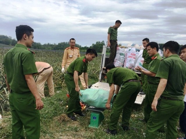 Công an vào tận ruộng mua dứa hỗ trợ nông dân - ảnh 1