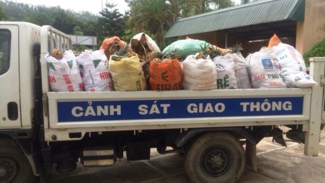 Công an vào tận ruộng mua dứa hỗ trợ nông dân - ảnh 2