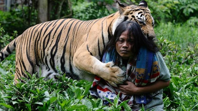 Người đàn ông hôn, ngủ cùng hổ - ảnh 3