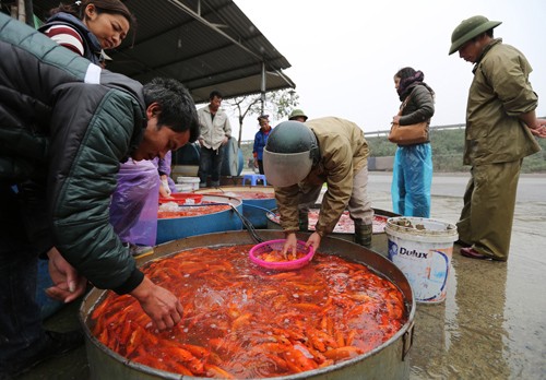 Đón Tết ông Công ông Táo, đại sứ Mỹ thả cá ở Hồ Tây - ảnh 8