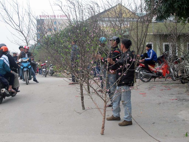 Mua đào được “khuyến mại”... gà rừng - ảnh 1