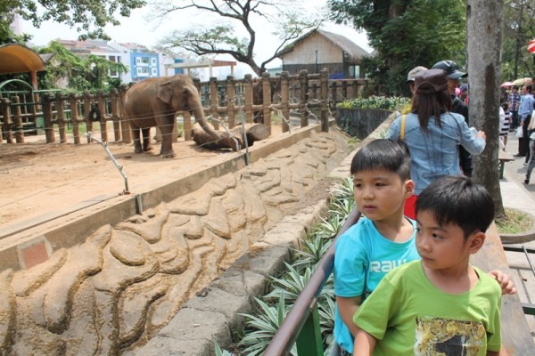 Du khách đổ xô tới Thảo Cẩm Viên vào mùng 3 Tết - ảnh 12