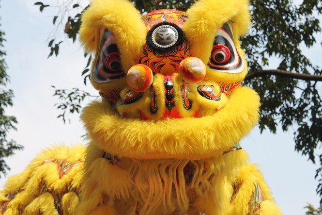 Ảnh: Biểu diễn lân sư rồng tuyệt hay tại Sài Gòn - ảnh 12