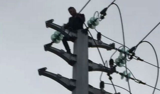 Trai trẻ thành đuốc sống vì buồn tình leo cột điện - ảnh 1