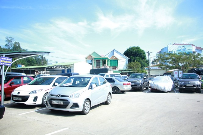 Dịp Tết, đảo Lý Sơn đón hơn 6.000 khách du xuân - ảnh 5