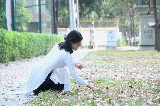 kèn hồng, thiếu nữ, rực rỡ, Võ Văn Kiệt, trung tâm Sài Gòn, hoa kèn hồng - ảnh 12
