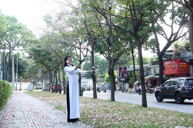 kèn hồng, thiếu nữ, rực rỡ, Võ Văn Kiệt, trung tâm Sài Gòn, hoa kèn hồng - ảnh 13