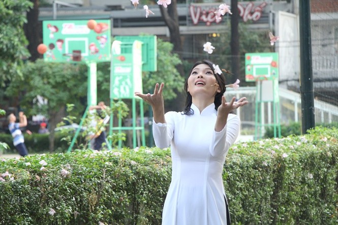 kèn hồng, thiếu nữ, rực rỡ, Võ Văn Kiệt, trung tâm Sài Gòn, hoa kèn hồng - ảnh 14