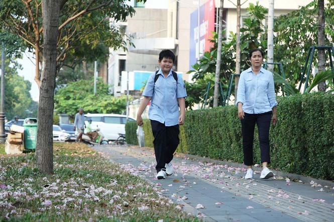 kèn hồng, thiếu nữ, rực rỡ, Võ Văn Kiệt, trung tâm Sài Gòn, hoa kèn hồng - ảnh 23
