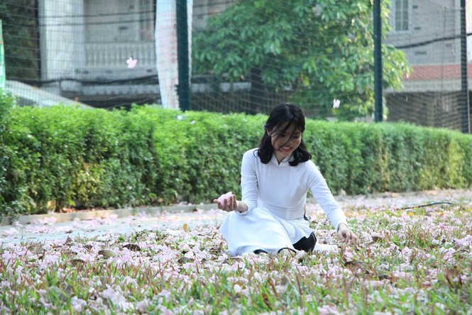 kèn hồng, thiếu nữ, rực rỡ, Võ Văn Kiệt, trung tâm Sài Gòn, hoa kèn hồng - ảnh 17