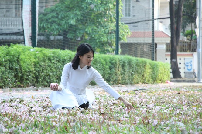kèn hồng, thiếu nữ, rực rỡ, Võ Văn Kiệt, trung tâm Sài Gòn, hoa kèn hồng - ảnh 18
