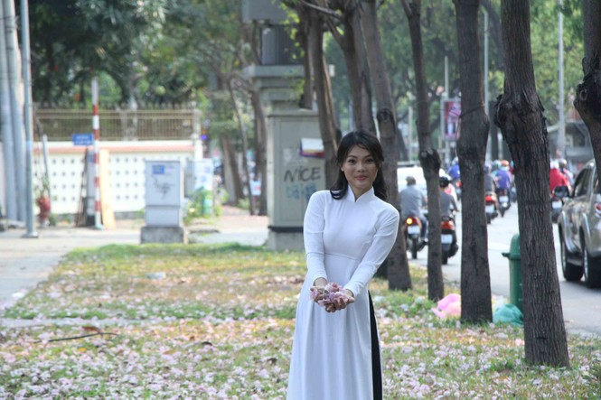 kèn hồng, thiếu nữ, rực rỡ, Võ Văn Kiệt, trung tâm Sài Gòn, hoa kèn hồng - ảnh 19