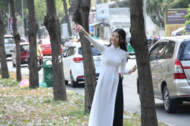kèn hồng, thiếu nữ, rực rỡ, Võ Văn Kiệt, trung tâm Sài Gòn, hoa kèn hồng - ảnh 20
