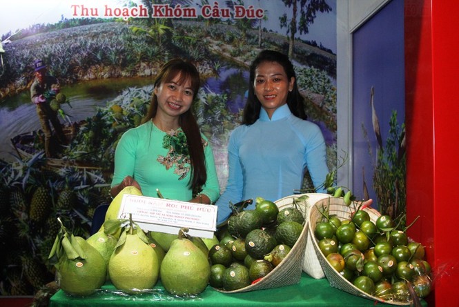 ngày hội du lịch, TPHCM, sản phẩm đặc trưng, kích cầu du lịch, tour - ảnh 7