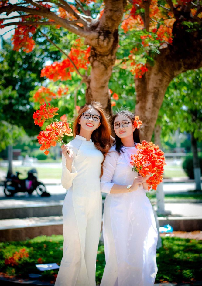 Nữ sinh Quảng Ngãi tỏa nắng bên khung trời phượng thắm - ảnh 2