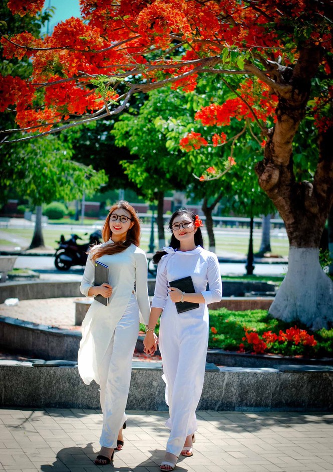 Nữ sinh Quảng Ngãi tỏa nắng bên khung trời phượng thắm - ảnh 4
