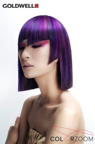 Con đường tới giải vàng quốc gia Colorzoom’14 - ảnh 2