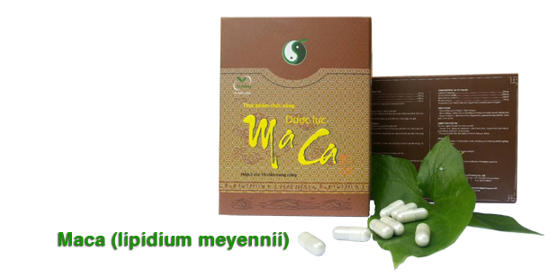 Uy tín của dược lưc maca trong cơ chế làm chậm quá trình mãn dục nam - ảnh 1
