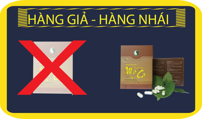 Uy tín của dược lưc maca trong cơ chế làm chậm quá trình mãn dục nam - ảnh 4