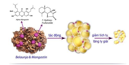 Giảm cân siêu tốc: lợi bất cập hại - ảnh 1