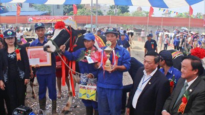 Xác định Hoa hậu Bò sữa Mộc Châu năm 2014 - ảnh 2