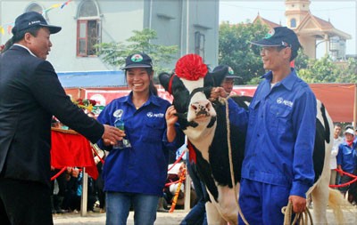 Xác định Hoa hậu Bò sữa Mộc Châu năm 2014 - ảnh 5