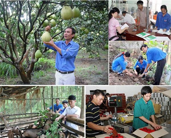 Cho vay khởi nghiệp - Gắn kết cơ sở Đoàn với thanh niên - ảnh 1