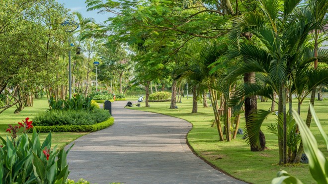 Khung cảnh lãng mạn nơi tổ chức đêm nhạc Trịnh tại Hà Nội - ảnh 3