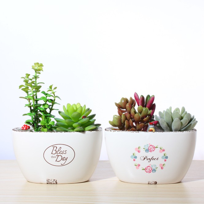 Phái yếu có thực sự “Yếu” - ảnh 1