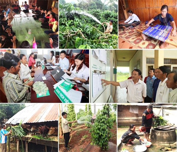 Tín dụng chính sách vùng Tây Nguyên đã thành công - ảnh 7