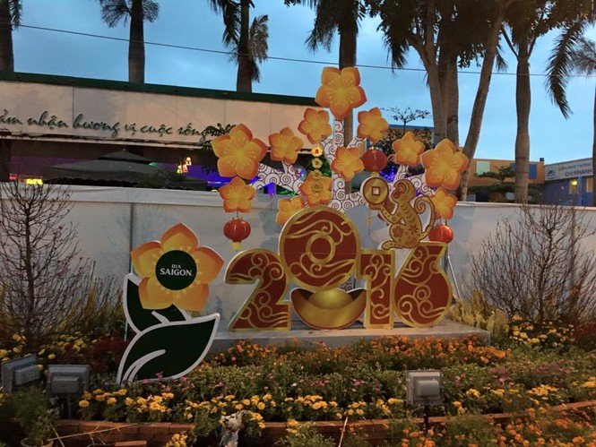 Đường hoa Thanh niên Bình Định 2016 hấp dẫn du khách - ảnh 3