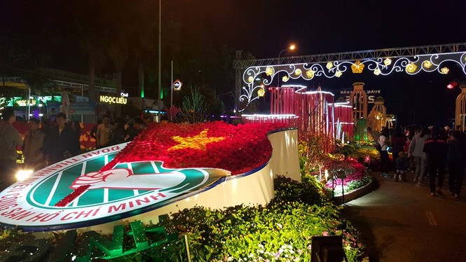 Đường hoa Thanh niên Bình Định 2016 hấp dẫn du khách - ảnh 4
